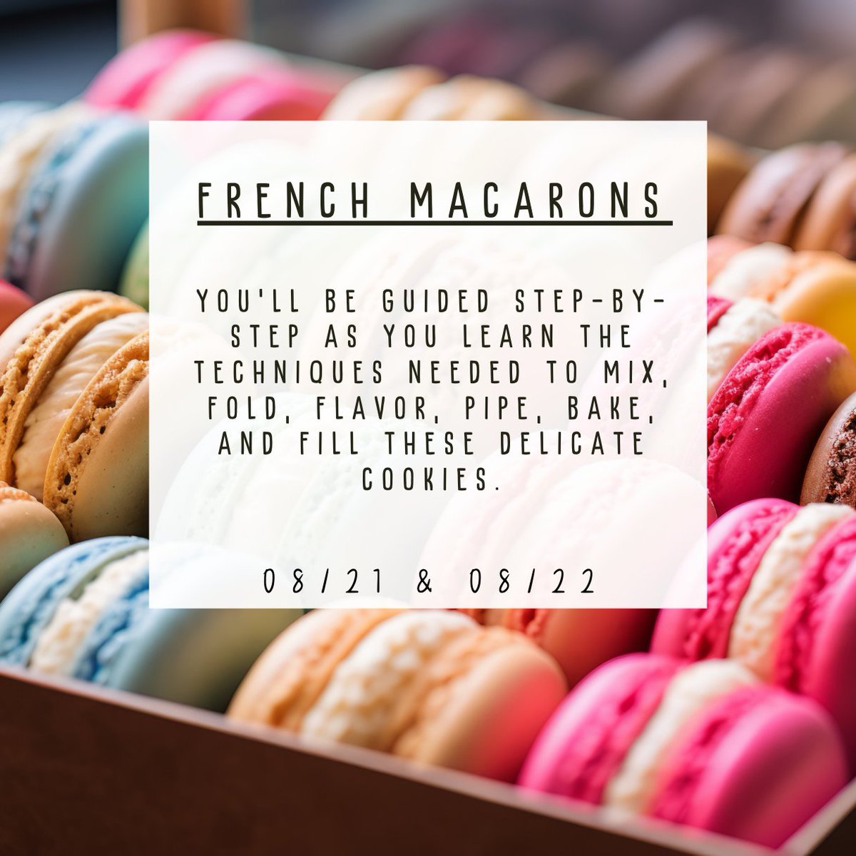 CourseHorse tweet media