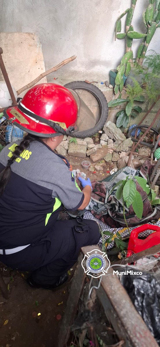 BOMBEROS MUNICIPALES DE MIXCO (@bomberosm_mixco) on Twitter photo #INFORMACION2025| 🇬🇹
#BOMBEROSMUNIMIXCO
#ESTA_MAÑANA
#Abuelito_Desmenbrado
Sección U de la Colonia El Milagro zona 6 de Mixco
Desde ayer los <a href="/BomberosM_Mixco/">BOMBEROS MUNICIPALES DE MIXCO</a> habían localizado ropa con sangre y hoy dentro de la vivienda se localizan los cuerpos desmembrados de 3 personas. #INFORMACION2025| 🇬🇹
#BOMBEROSMUNIMIXCO
#ESTA_MAÑANA
#Abuelito_Desmenbrado
Sección U de la Colonia El Milagro zona 6 de Mixco
Desde ayer los <a href="/BomberosM_Mixco/">BOMBEROS MUNICIPALES DE MIXCO</a> habían localizado ropa con sangre y hoy dentro de la vivienda se localizan los cuerpos desmembrados de 3 personas.