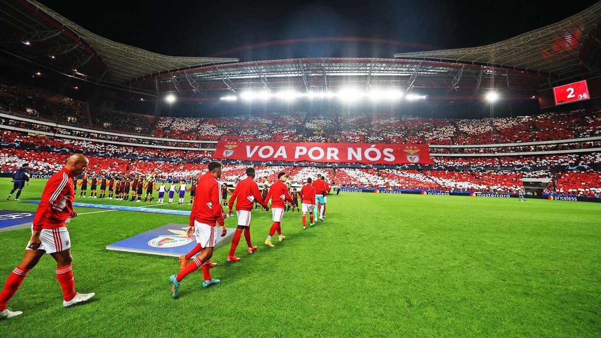 As melhores fotografias da história do Benfica.

Segue o fio 🧶