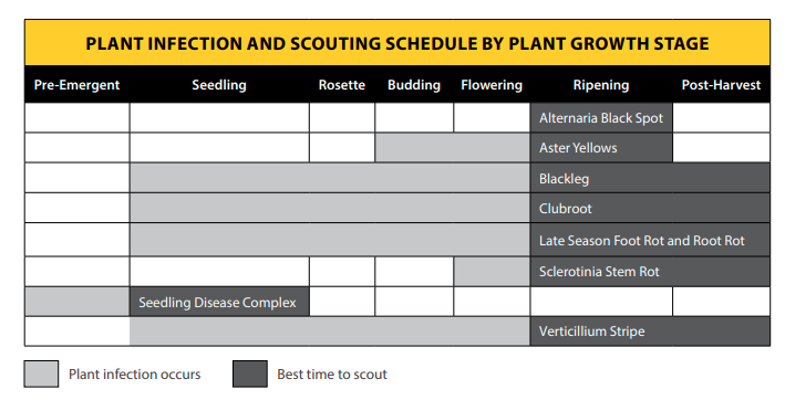 Is your #canola crop at or near the ripening stage? 

This is the ideal time to scout for most canola diseases, along with post-harvest. Use our Disease Scouting Guide to help identify and distinguish diseases: canolacouncil.org/download/130/a…