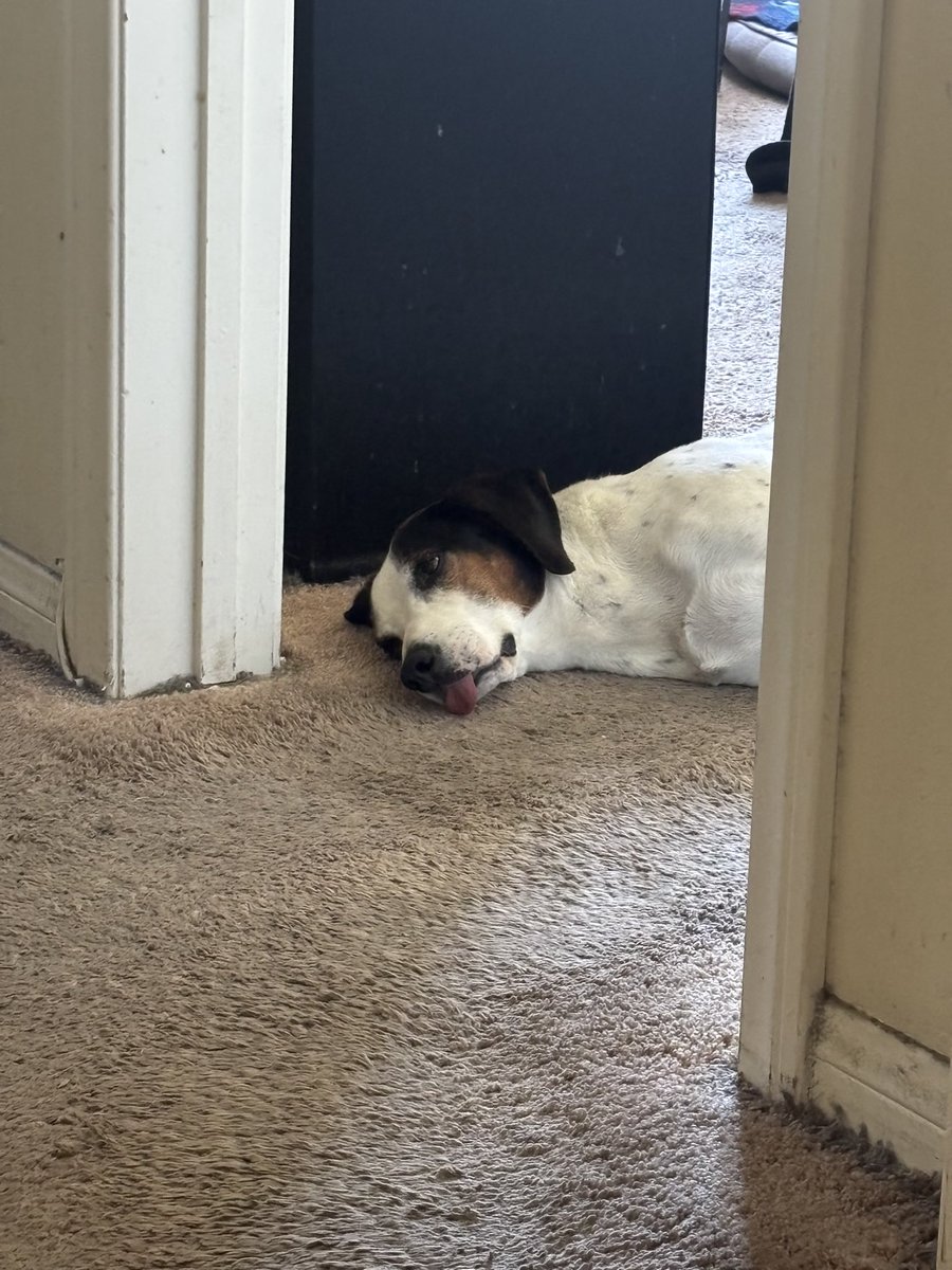 Artistic Portraits Presents:

Dude In A Doorway - With Tongue

🐶🐶🐶 #ArtsyDude