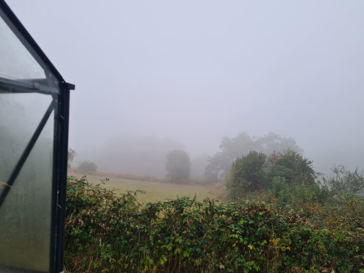 Heerlijkheyd's tweet image. De hele dag regen gehad en vanavond zaten we zelfs in de wolken, heerlijk na zo'n lange tijd alleen maar zon en hitte!
#Frankrijk #PuyDeDôme #regen