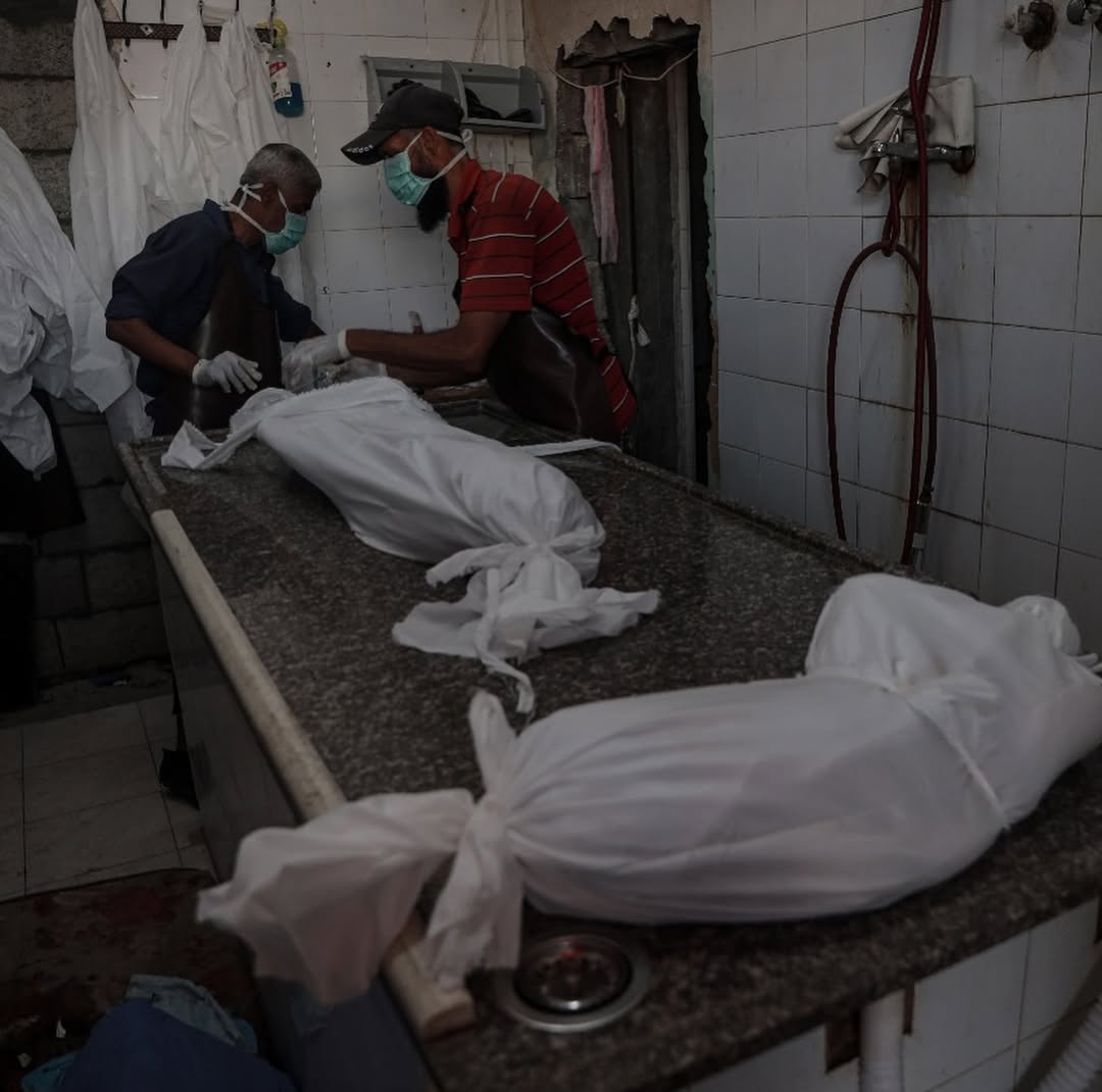 TIMES OF GAZA tweet media