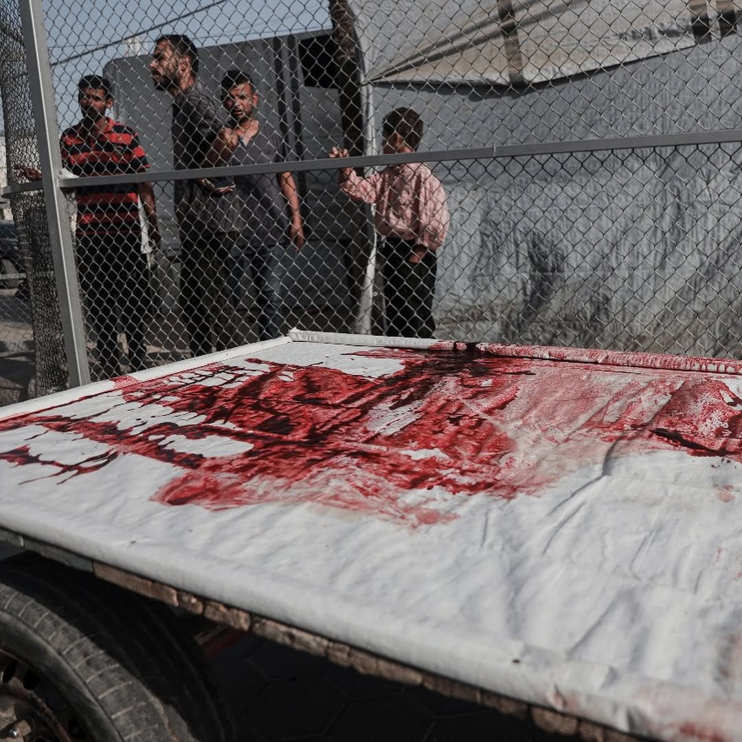 TIMES OF GAZA tweet media