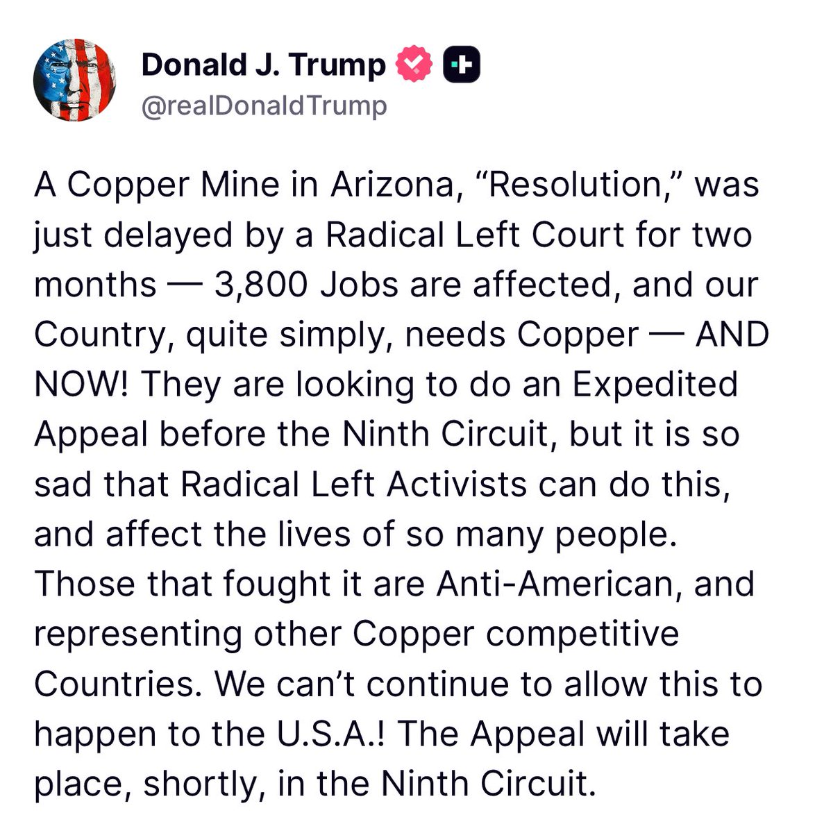 Trump War Room (@trumpwarroom) on Twitter photo 