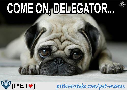 Looking for a pool? Consider #StakeWithPET😉

💪Supporting #Cardano +3 years
🖥️Mainnet,Preview, Preprod,Midnight
💎Mithril Signer, all networks
🐶Mission driven

Extra rewards x epoch:
🏆#TopDelegator: 100 ADA
🎟️#PETLotto: up to 30 ADA

linktr.ee/petloverstake 
#CardanoCommunity