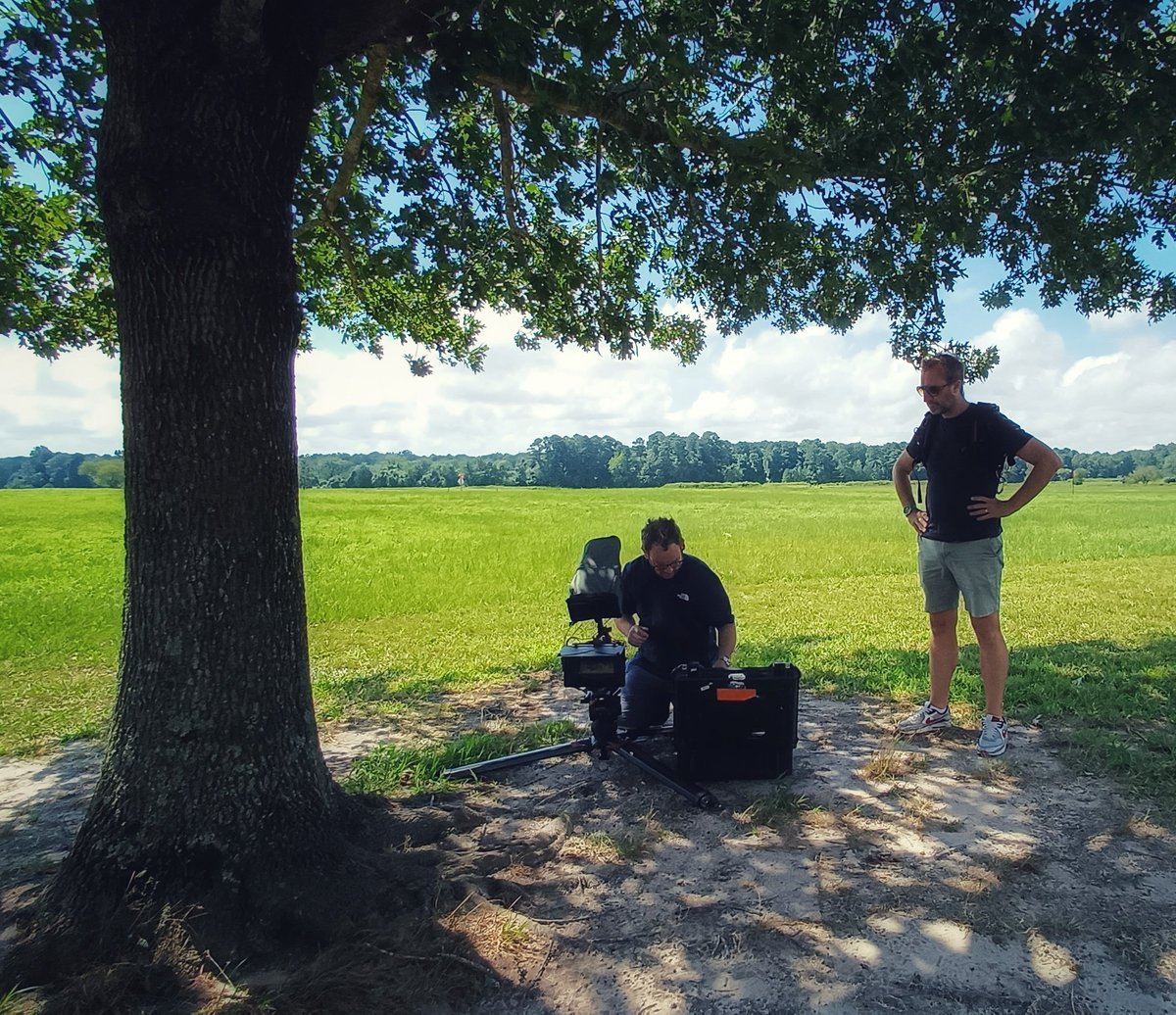 Lucy Worsley tweet media