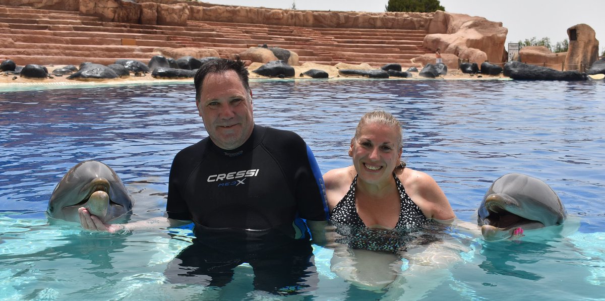 BozzerGJ's tweet photo. @LynnParsonsUK when you get to play with dolphins in lanzarote.....been home two days and already have the holiday blues, and keep looking back saying wow did we really do this!! https://t.co/tTKAisgIaQ