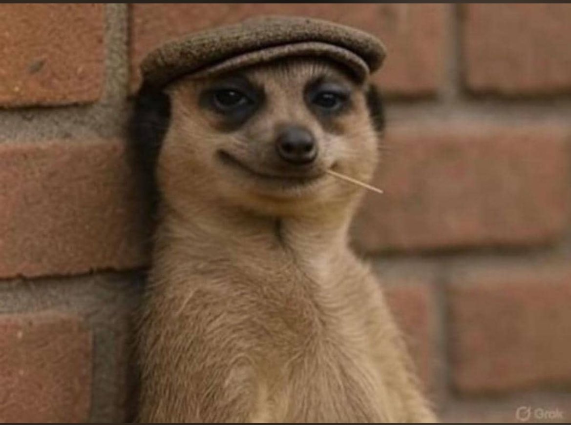 “I want a government job for security “
Sankwasa looking at you. 😂