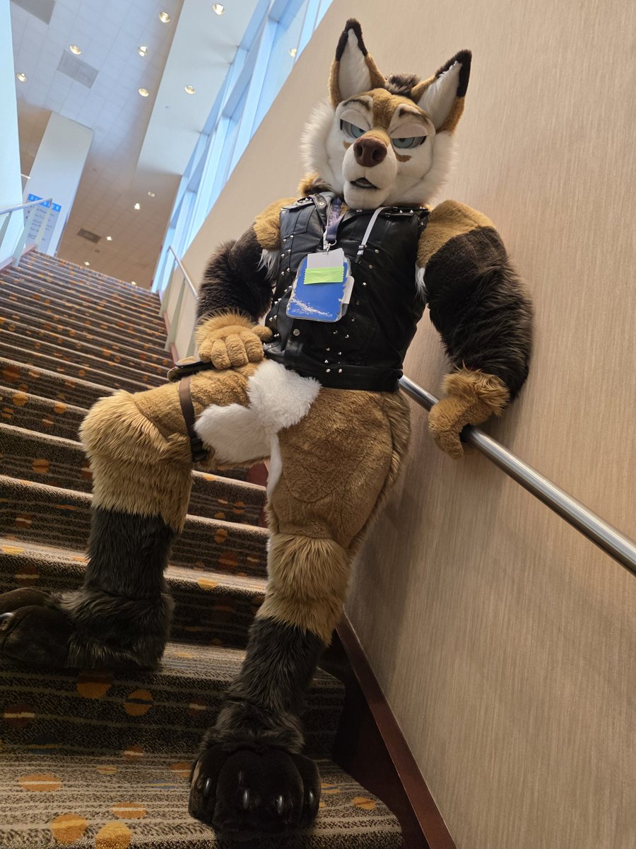 Had so much fun at #TFS2025 !!
#FursuitFriday #FursuitEveryday