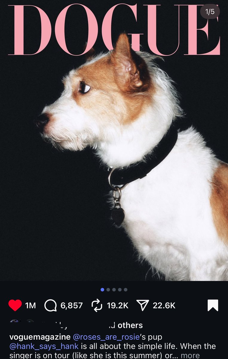 vogue magazines post about HANKs DOGUE cover has officially garnered 1 million likes, making it the most liked dogue cover