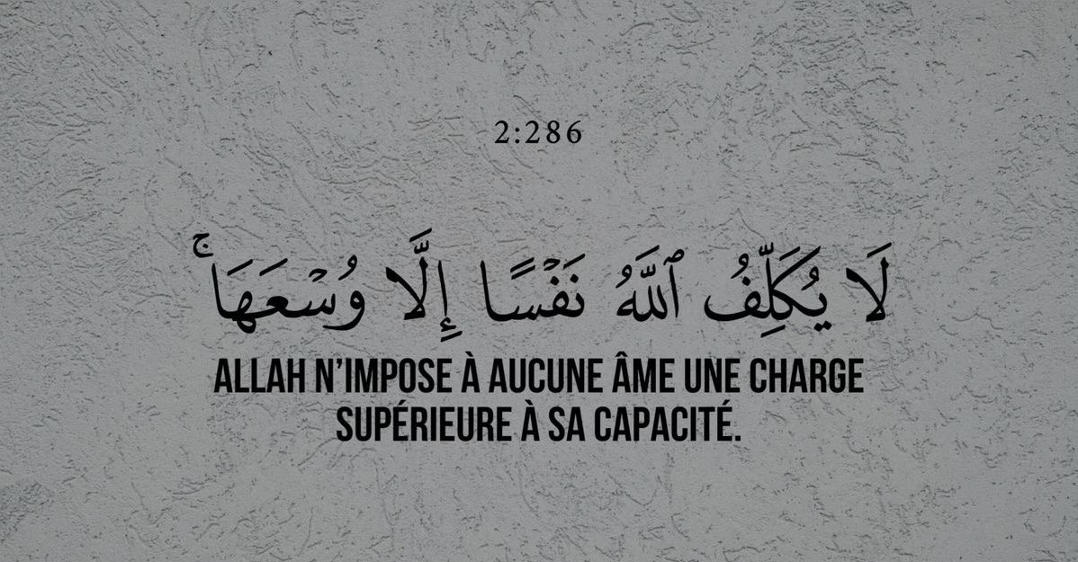Fury🇩🇿 (@madmax7_) on Twitter photo 