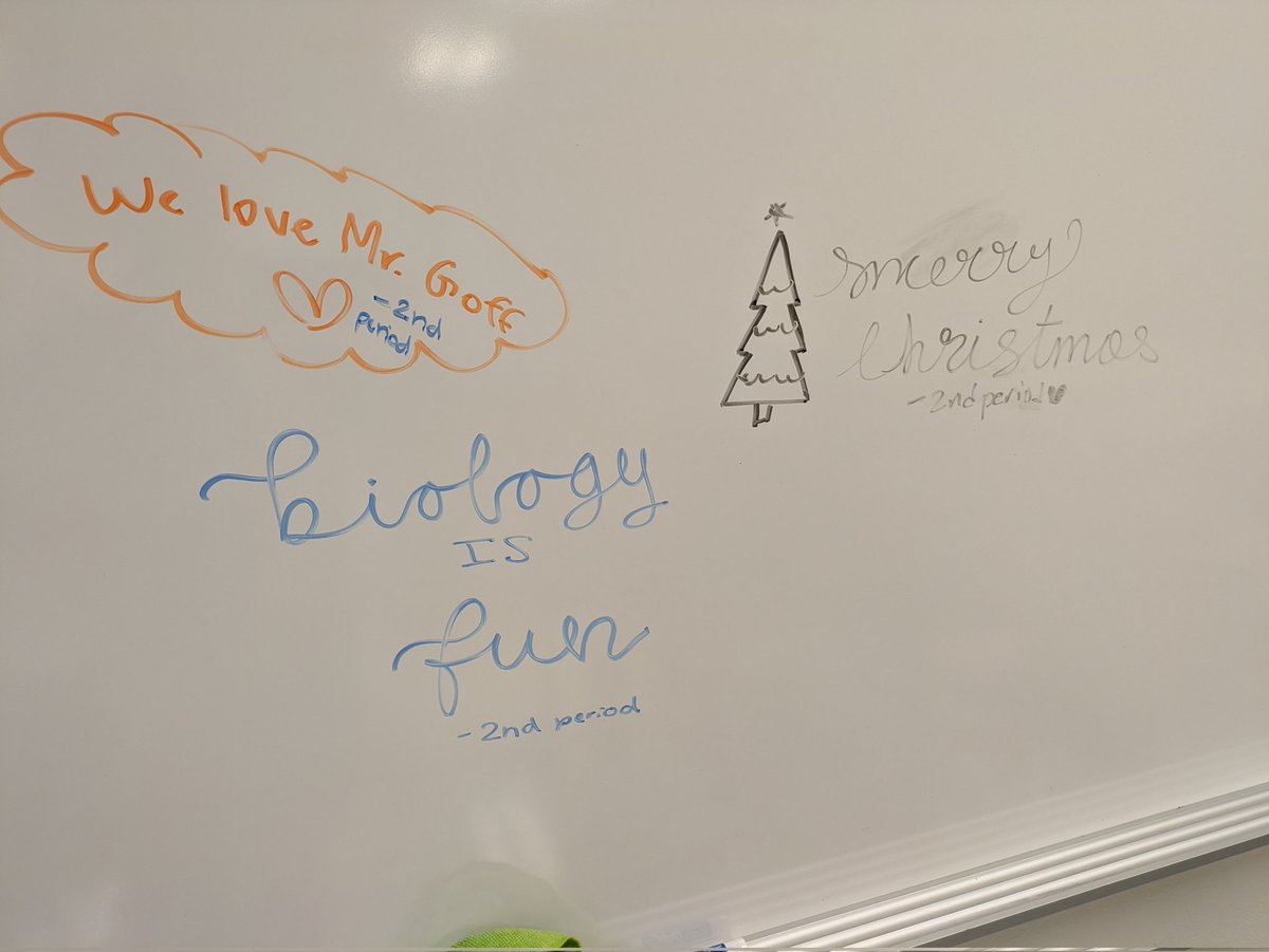 My students have found the doodle wall. 2nd period wishes you a Merry Christmas 🎄
