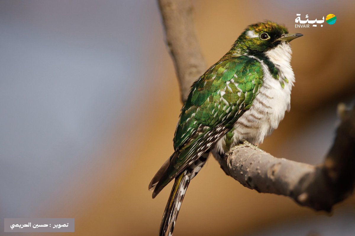 #من_بيئتنا ... 
نحتفل بـ #اليوم_العالمي_للتصوير من خلال أجمل صور لبيئتنا بعدسات مصورينا  
تصوير 📸 : حسين الحريصي 
<a href="/hussainalhrisi/">حسين الحريصي</a>