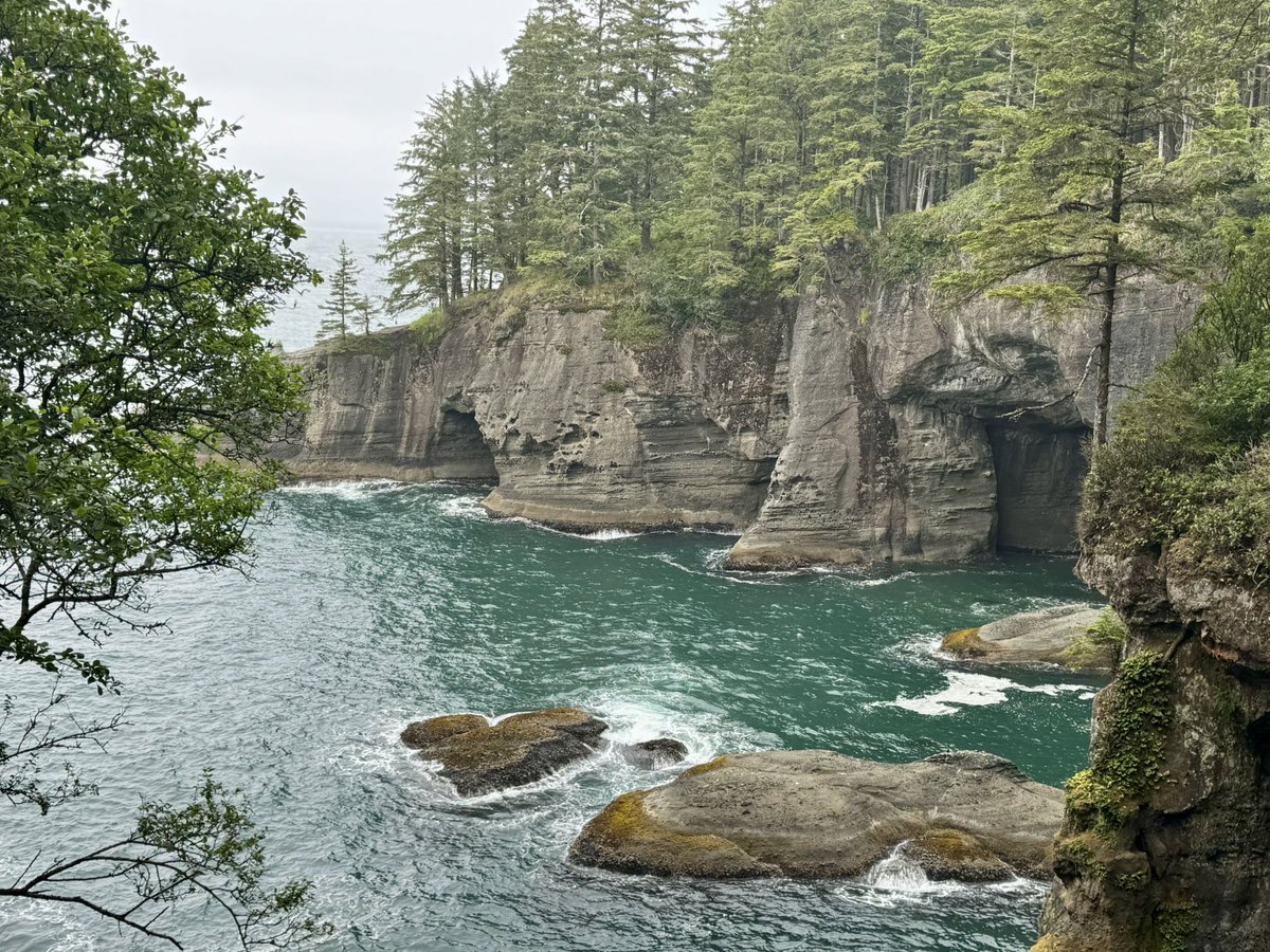 Bob Roat tweet media