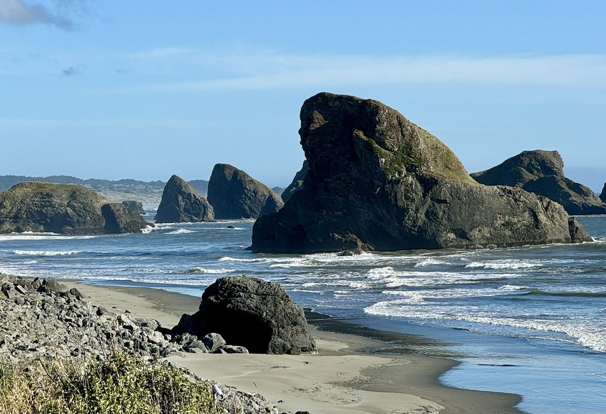 Bob Roat tweet media