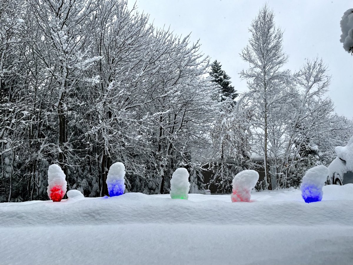 FancyCaroline's tweet image. Right now, it’s hard to imagine that things get like this in 5 months.