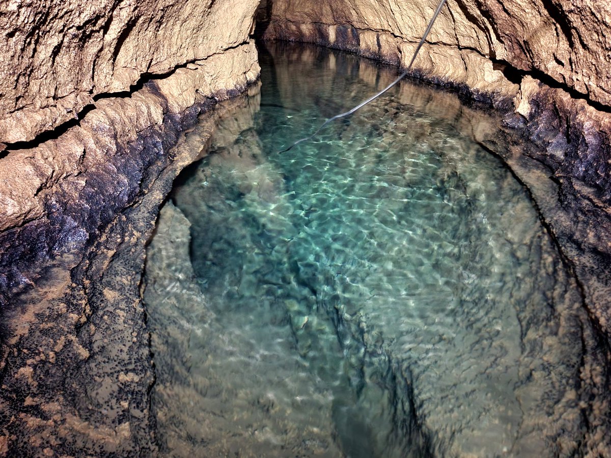 FRAICHE Jacques tweet media