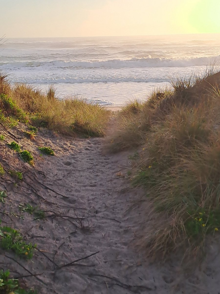 'Forever is composed of nows.' (Emily Dickinson)