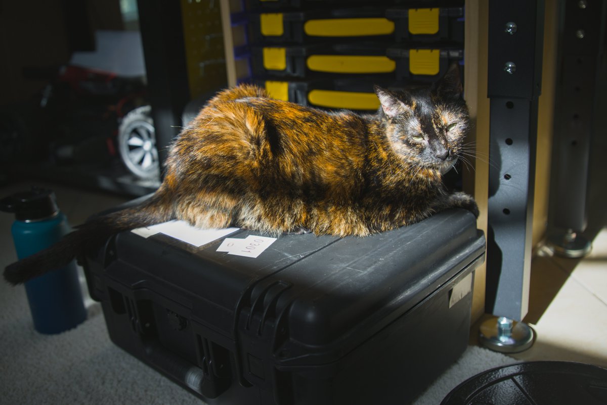 Speed_Beam's tweet photo. When customers finish their sensor rental and we get it back, the shop cat wonders why it must always sit in the only available sunlight. https://t.co/8FNCMYLMEc