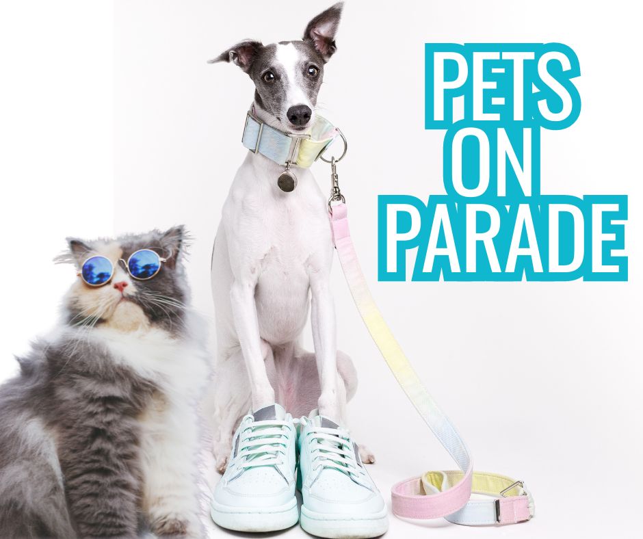 PETS ON PARADE- FUN WALK: Lace up them tennis shoes for a fun fur filled day. Mark your calendar and save the date – September 6th from 10am-1pm, Riverside Park. Raise funds to help homeless pets find their forever homes. Call Maddy Nettleton for details 712-252-2614ext 16.