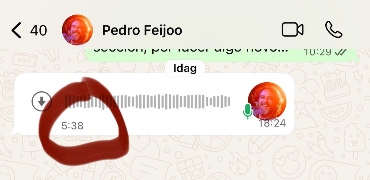 Está guai whatsappear con <a href="/pedrofeijoo/">Pedro Feijoo</a>, que en vez de mensaxes envía audiolibros.