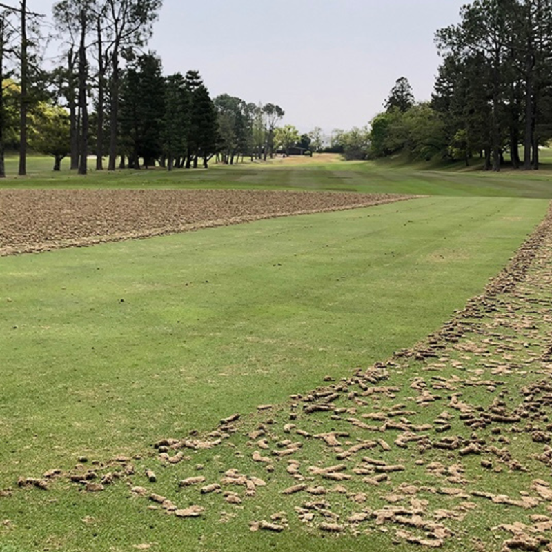 WorldSportsCo's tweet photo. Zoom in on precision. 🔍

The Core Sweeper leaves nothing behind — delivering a clean, smooth surface after aeration with unmatched efficiency.

Every detail matters when it comes to high-performance turf.