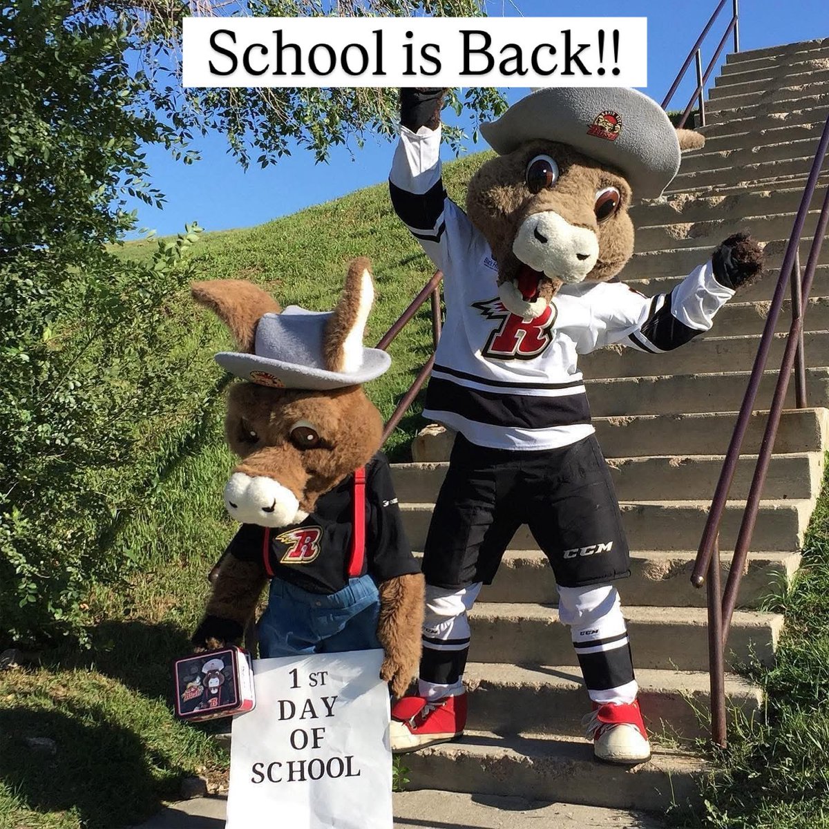 School is Back!!❤️🚌✏️
If yours haven’t started yet, they will soon. 
Keep your eyes open on the road.👀