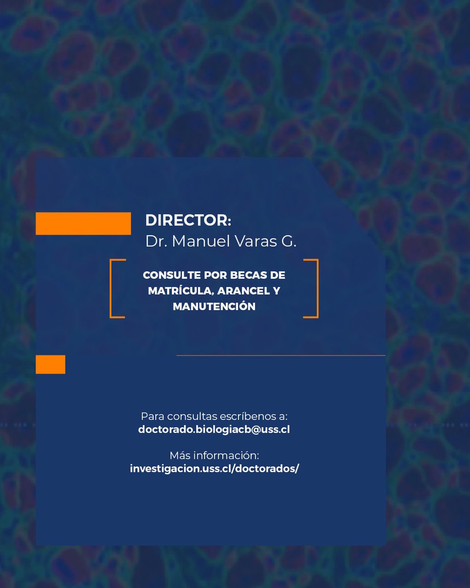 Investigación USS tweet media