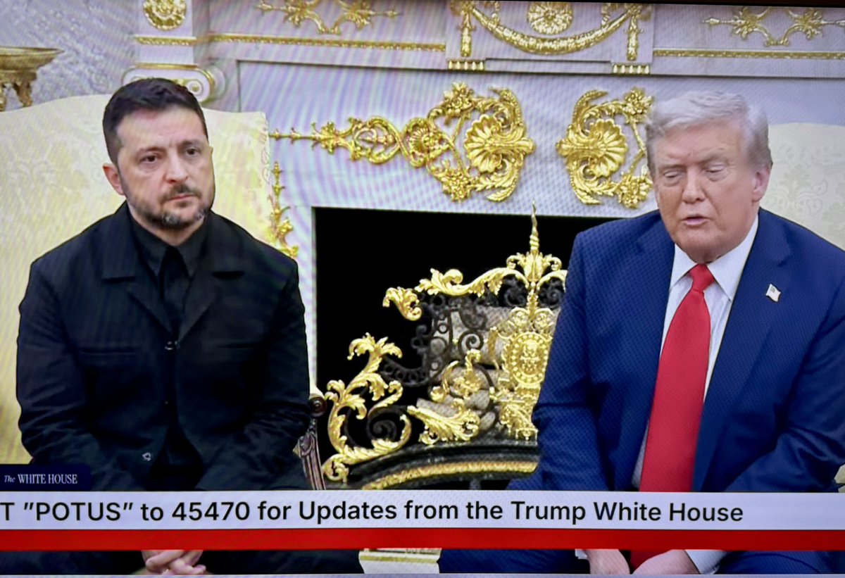 Julia Chenusha, LL.M tweet media