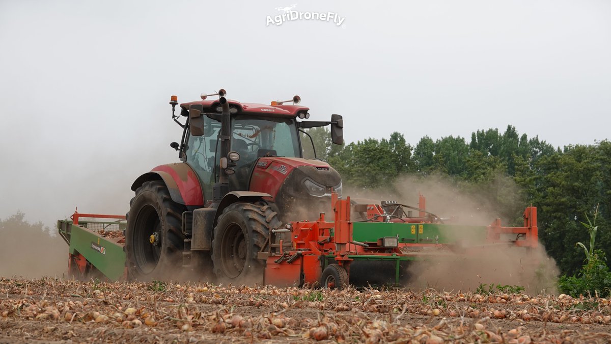 agridronefly's tweet photo. Harvesting onions with a Case Puma 175 and Holaras onion harvester combination https://t.co/RkANaKVyGH