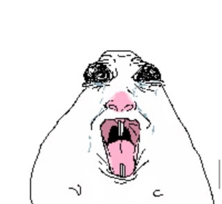 cgaleco's tweet photo. @blackjakals Bullying hacia mi mini iPhone https://t.co/GHJFIaFeGU