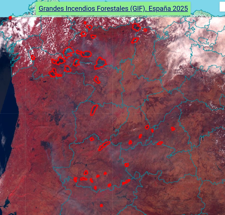 Miguel Ángel Jiménez tweet media