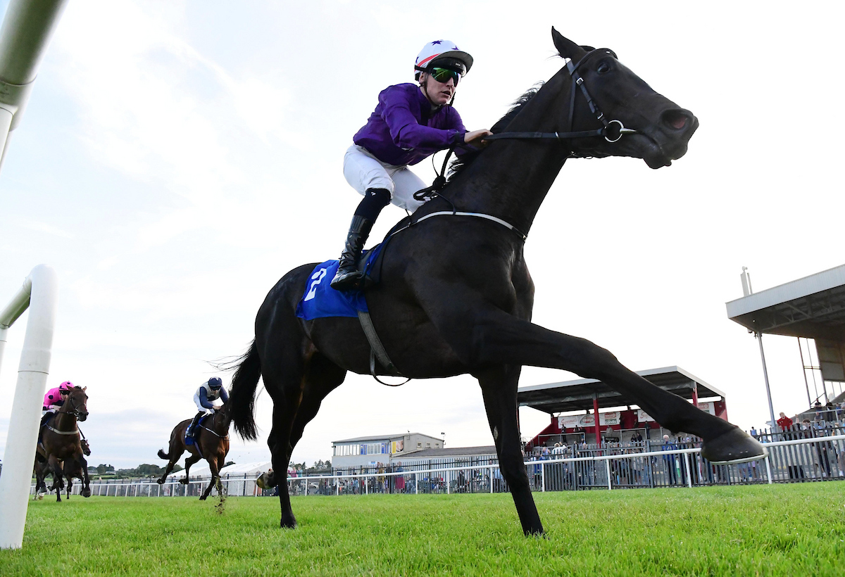 Roscommon Racecourse tweet media