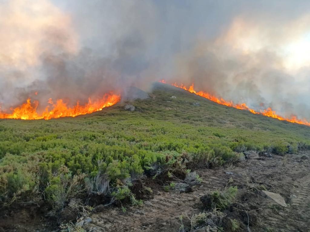 Jorge__Monroy's tweet photo. Peña Trevinca, empieza a llegar algún medio https://t.co/vJtwueSp26