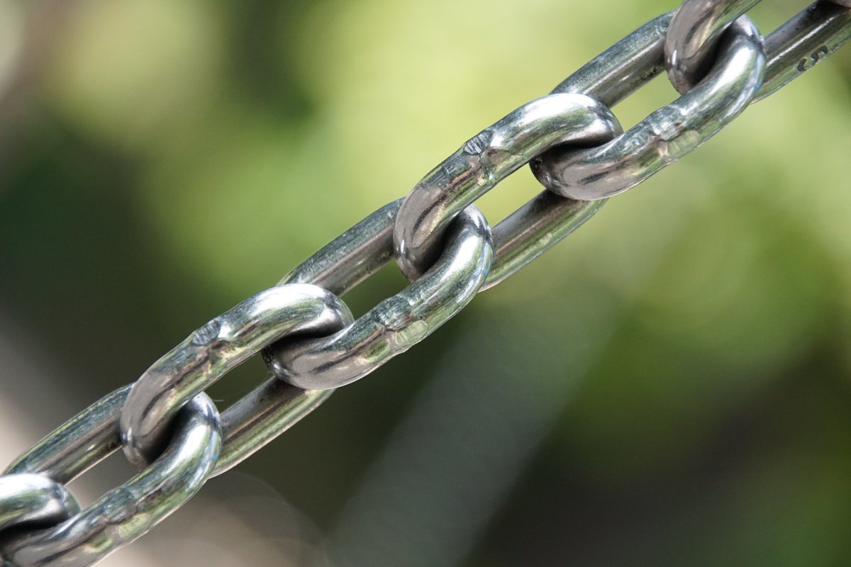 #WorldPhotographyDay2025