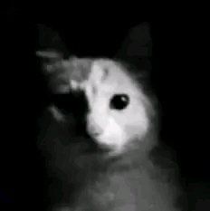when I first played through hollow knight I mockingly laughed at everyone who had played it before me because of how long they had to wait for silksong and how I didn't have to wait very long

that was 6 years ago
