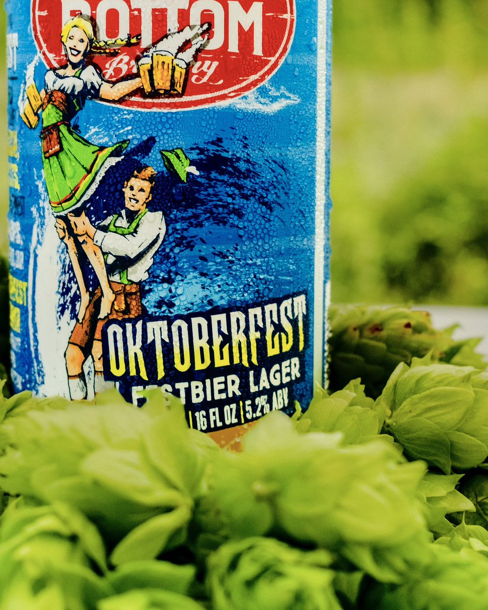 Ship Bottom Brewery tweet media