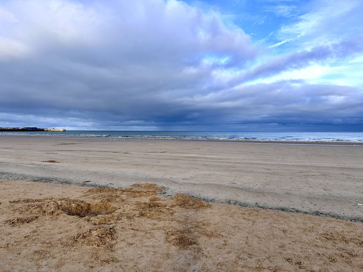 Progradar's tweet photo. An excellent BRR Structured Fartlek session on the beach and through the dunes 🏃♂️💪🥵😁 @RunComPod #beachtraining #fartlek https://t.co/xDsUr0djdI