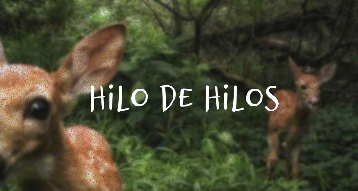 tomie 🪽 au's tweet media