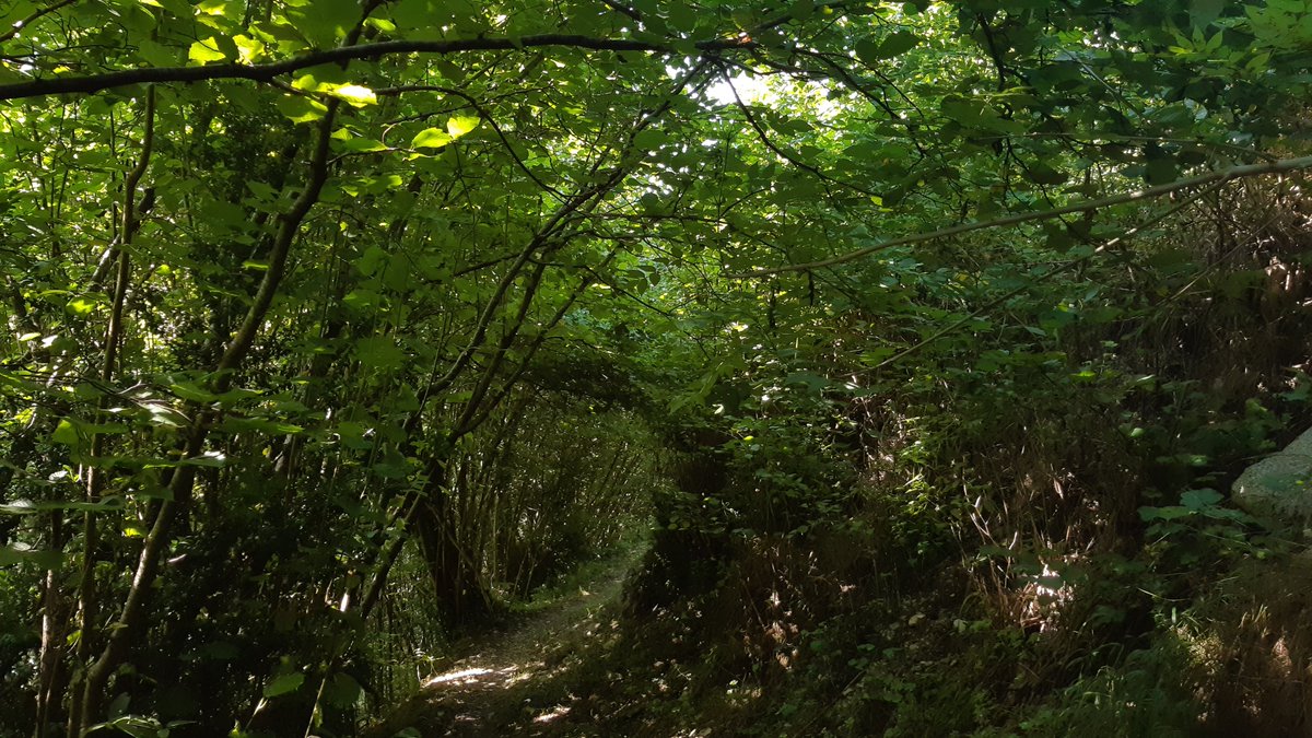 <a href="/catexperience/">Catalunya Experience</a> <a href="/Aj_Ripoll/">Ajuntament de Ripoll</a> <a href="/MuseuRipoll/">MuseuRipoll 🎗</a> <a href="/PortComte/">PORT DEL COMTE</a> <a href="/museumoto/">Museu Moto</a> <a href="/Festival_FeMAP/">FeMAP</a> <a href="/turismeseu/">Turisme de la Seu</a> <a href="/santjoandelermm/">sant joan de l'erm</a> Etapa 1⃣1⃣  La Torre de Cabdella (Pallars Jussà)
Avui fem el camí de la ribera que uneix la Torre amb Molinos. Passejada còmoda i ombrívola, a la vora del Flamisell. Pau, frescor i natura👌
ℹ️Ruta 58 de la Torre a Molinos
<a href="/TurismeJussa/">Turisme Pallars Jussà</a>
[I ara marxem una estona. Tornem en res!]
🧵