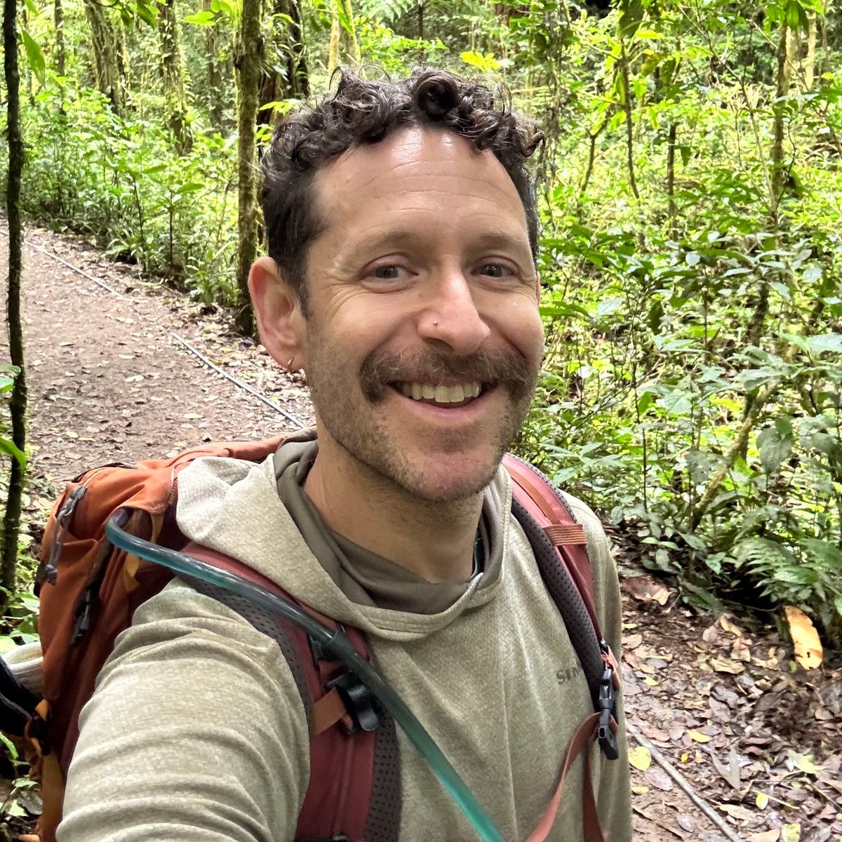 David Green, PhD tweet media