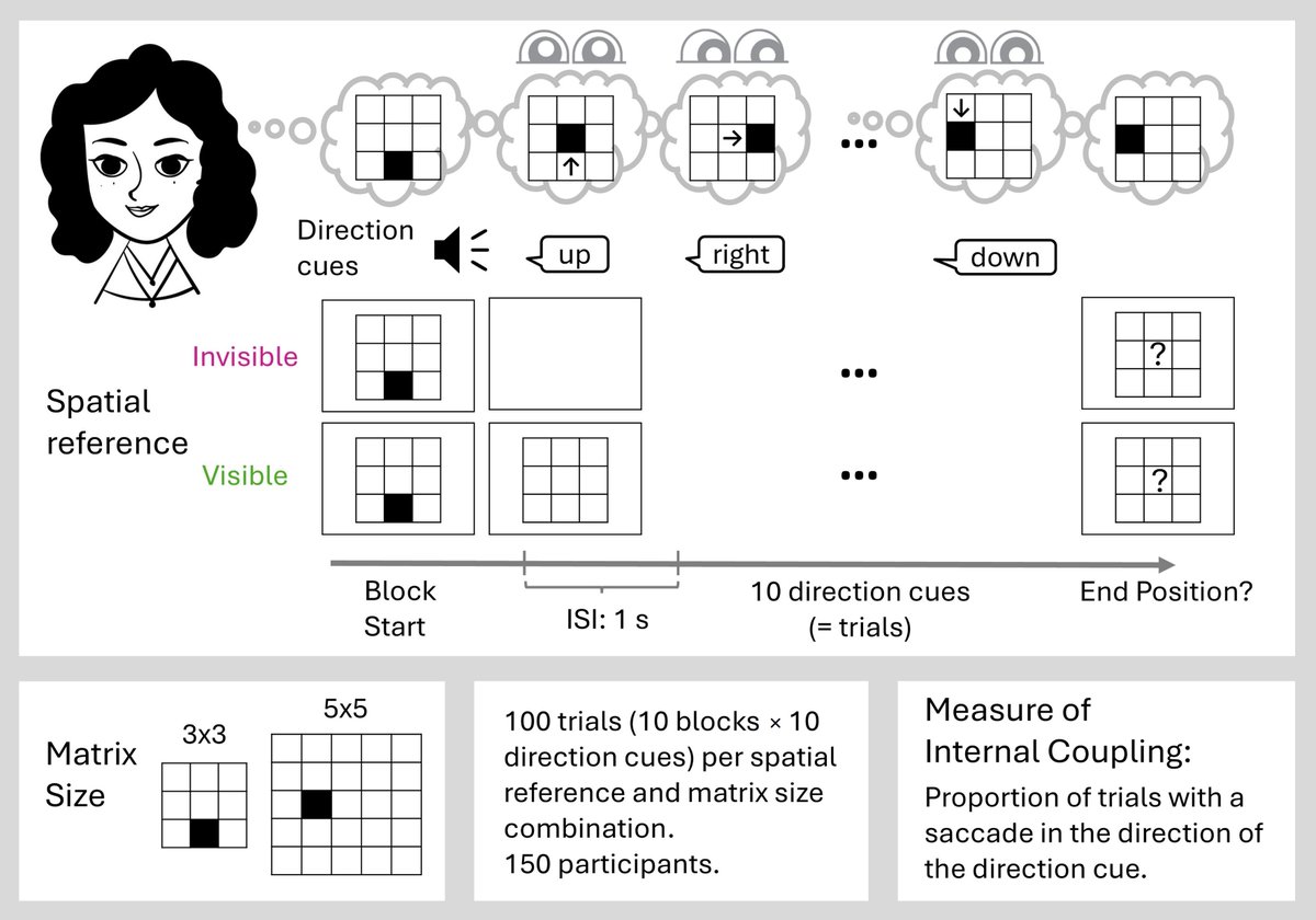 Cognition (@cognitionjourn) on Twitter photo Are your eyes following your thoughts? We show internal coupling depends on spatial references, imagery skills, and working memory, suggesting eye movements support internal attention and reflect mental image quality during visual imagery.
sciencedirect.com/science/articl… Are your eyes following your thoughts? We show internal coupling depends on spatial references, imagery skills, and working memory, suggesting eye movements support internal attention and reflect mental image quality during visual imagery.
sciencedirect.com/science/articl…