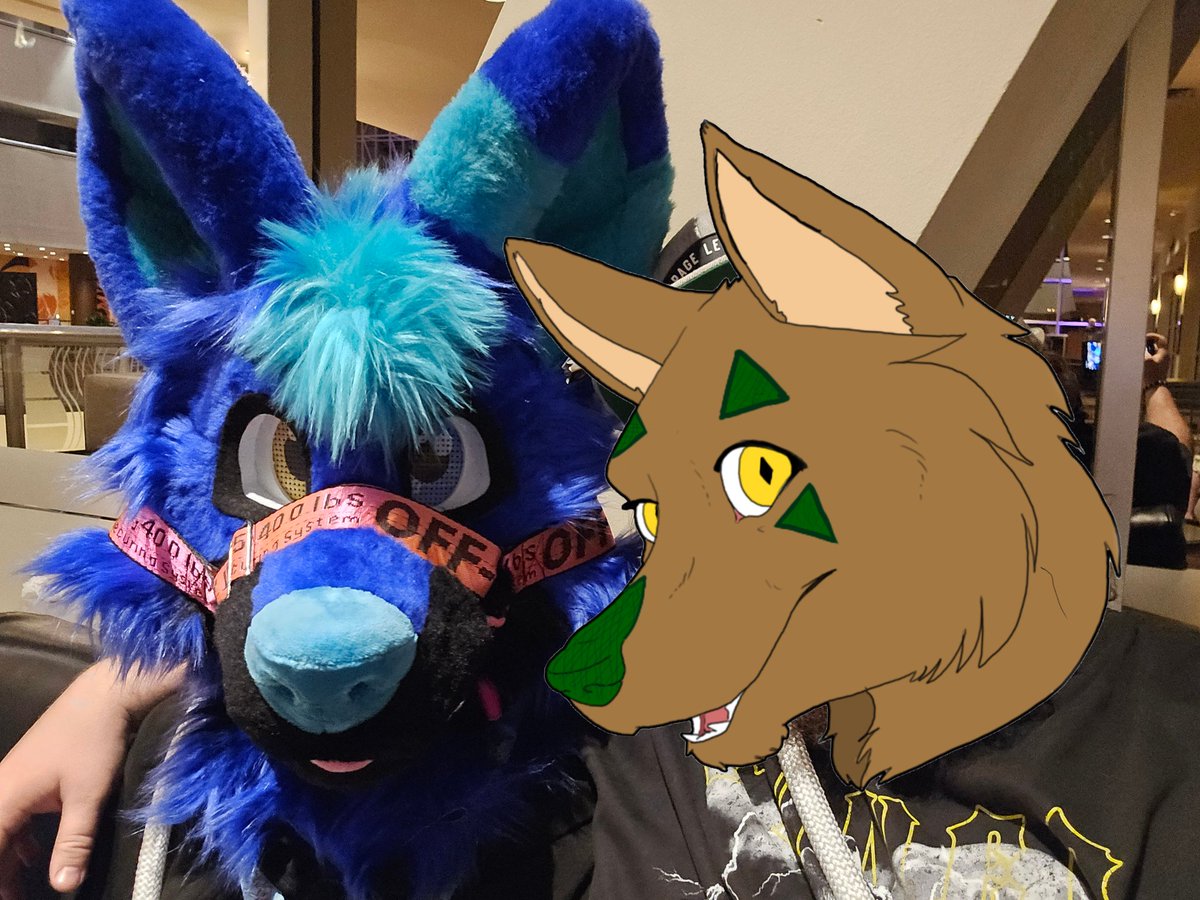 FFoxation's tweet photo. @Kona_Wolfu and I at Texas Furry Siesta!
#TFS2025 #TexasFurrySiesta https://t.co/JkopB8hhff