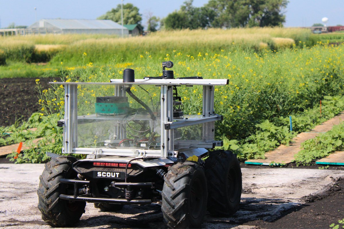 NDSU CAFSNR (@ndsucafsnr) on Twitter photo Graduate researchers Mohammad Jony and Shahab Ahmad are advancing agricultural innovation through robotics and AI.
As part of a collaborative project between NDSU Plant Sciences and UCLA, they are developing an autonomous robot capable of navigating canola and flax fields, Graduate researchers Mohammad Jony and Shahab Ahmad are advancing agricultural innovation through robotics and AI.
As part of a collaborative project between NDSU Plant Sciences and UCLA, they are developing an autonomous robot capable of navigating canola and flax fields,