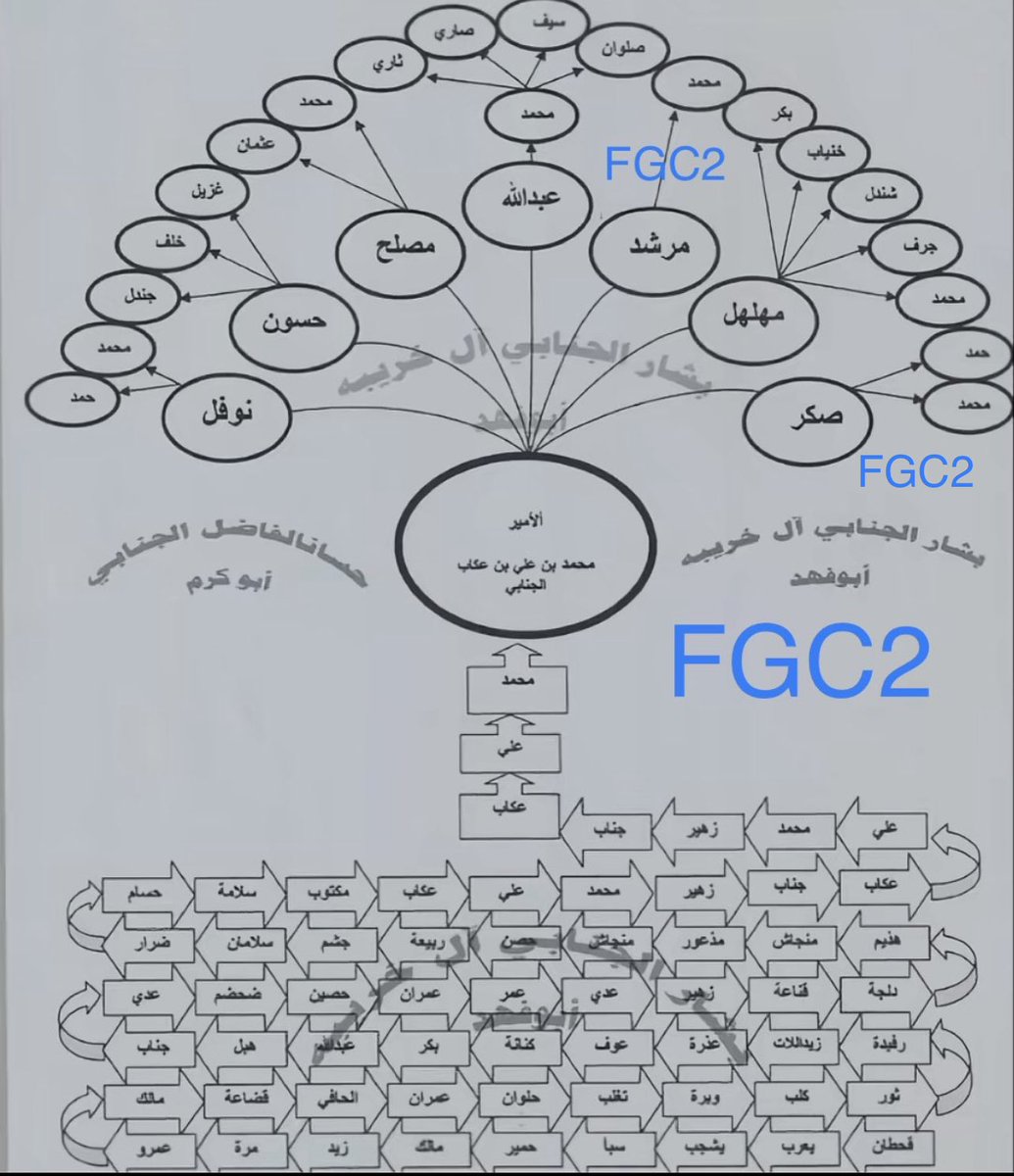 باحث في علم الانساب 𐩤𐩺𐩰𐩠 𐩱𐩡𐩤𐩧𐩦𐩺𐩠 tweet media