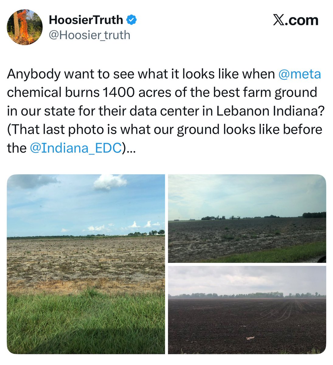 mtgent's tweet image. Lil’ Buddy (@Hoosier_truth) cracks me up. He obsessed over weeds in a field for more than a week. Then owner has a farmer kill the weeds with weed killer. Now, he is obsessing about the dead weeds. I’m starting to think he is just looking for reasons to be outraged. 🤔