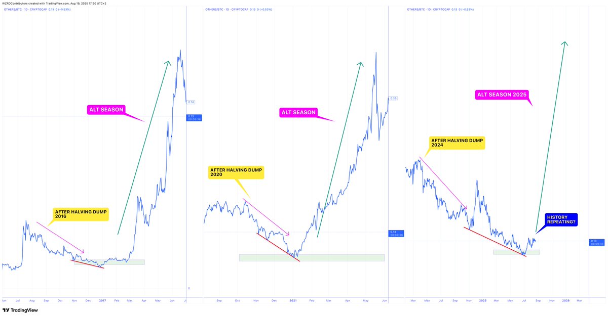 cryptoWZRD_'s tweet photo. ⚠️ NO PLEASURE 😱 

I get it.. it’s over right? What if it hasn’t even started yet? 

🚨 OTHERS against $BTC continues to follow an identical structure to both previous cycles, after the pain comes the Altseason you’ve been waiting for… 💪🏻

Patience Pays. https://t.co/PZu4KLD9Ak