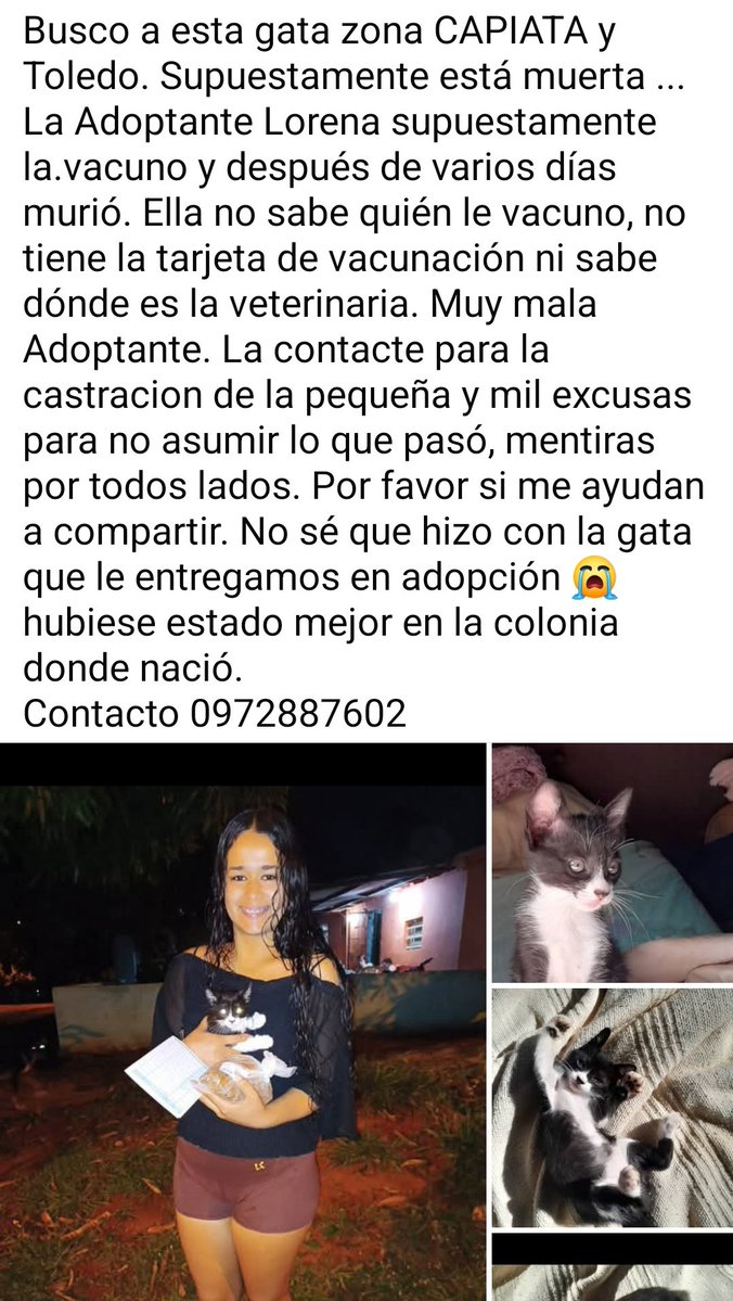 Nani👁 (@nanisspy) on Twitter photo Se ruega viralizar la publicación 😭🙏 <a href="/IsabelMezquita4/">Isabel Mezquita</a> <a href="/perdidospy/">Mascotas Perdidas Py 🇵🇾</a> <a href="/ruthdemoab/">REPTZ</a> <a href="/TiFaNiiii/">Stephie Bogado Tervit #80547</a> <a href="/tendenciaporque/">¿Por qué es tendencia?</a> <a href="/mascotitaspy/">Buscando a tu Mascota Py</a> <a href="/edithortizg/">EDITH</a> Se ruega viralizar la publicación 😭🙏 <a href="/IsabelMezquita4/">Isabel Mezquita</a> <a href="/perdidospy/">Mascotas Perdidas Py 🇵🇾</a> <a href="/ruthdemoab/">REPTZ</a> <a href="/TiFaNiiii/">Stephie Bogado Tervit #80547</a> <a href="/tendenciaporque/">¿Por qué es tendencia?</a> <a href="/mascotitaspy/">Buscando a tu Mascota Py</a> <a href="/edithortizg/">EDITH</a>