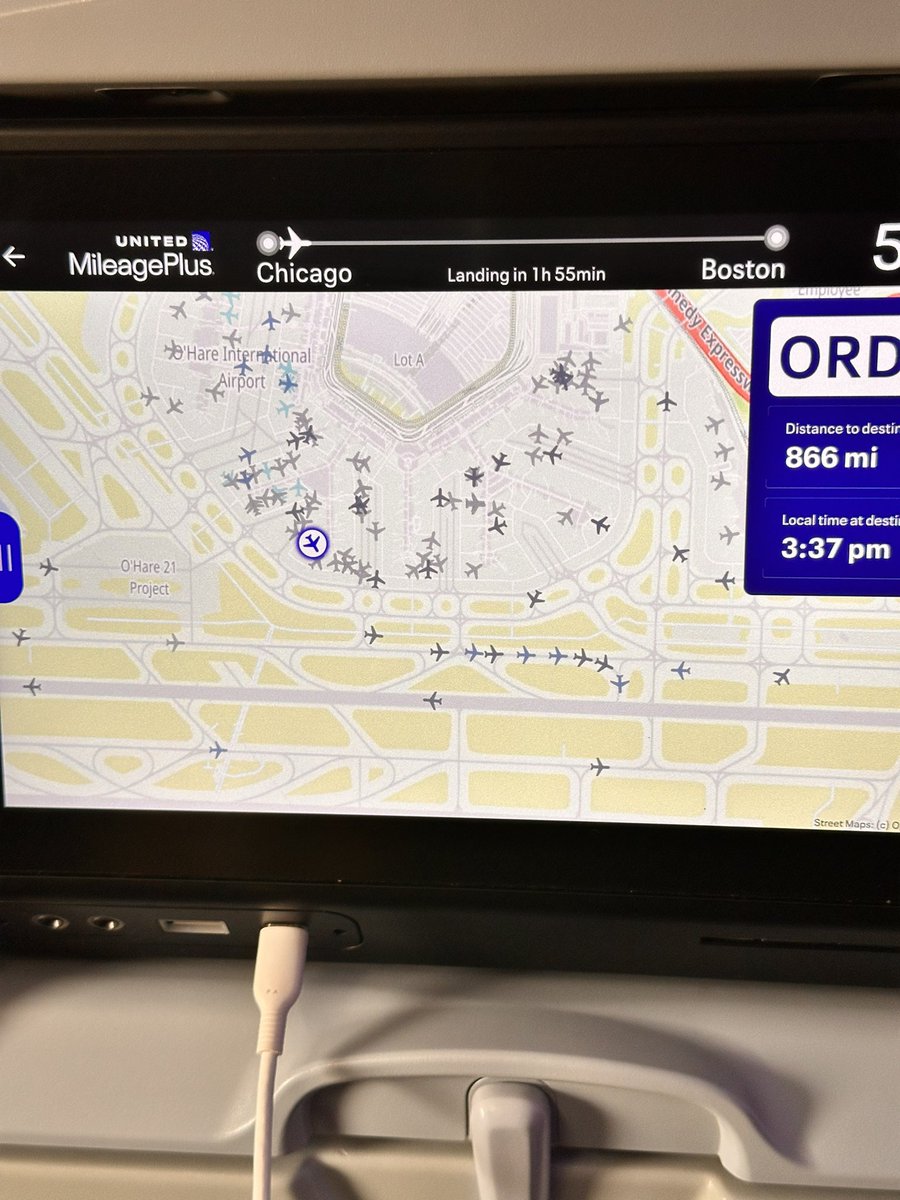 Alex Hu 🐮 tweet media